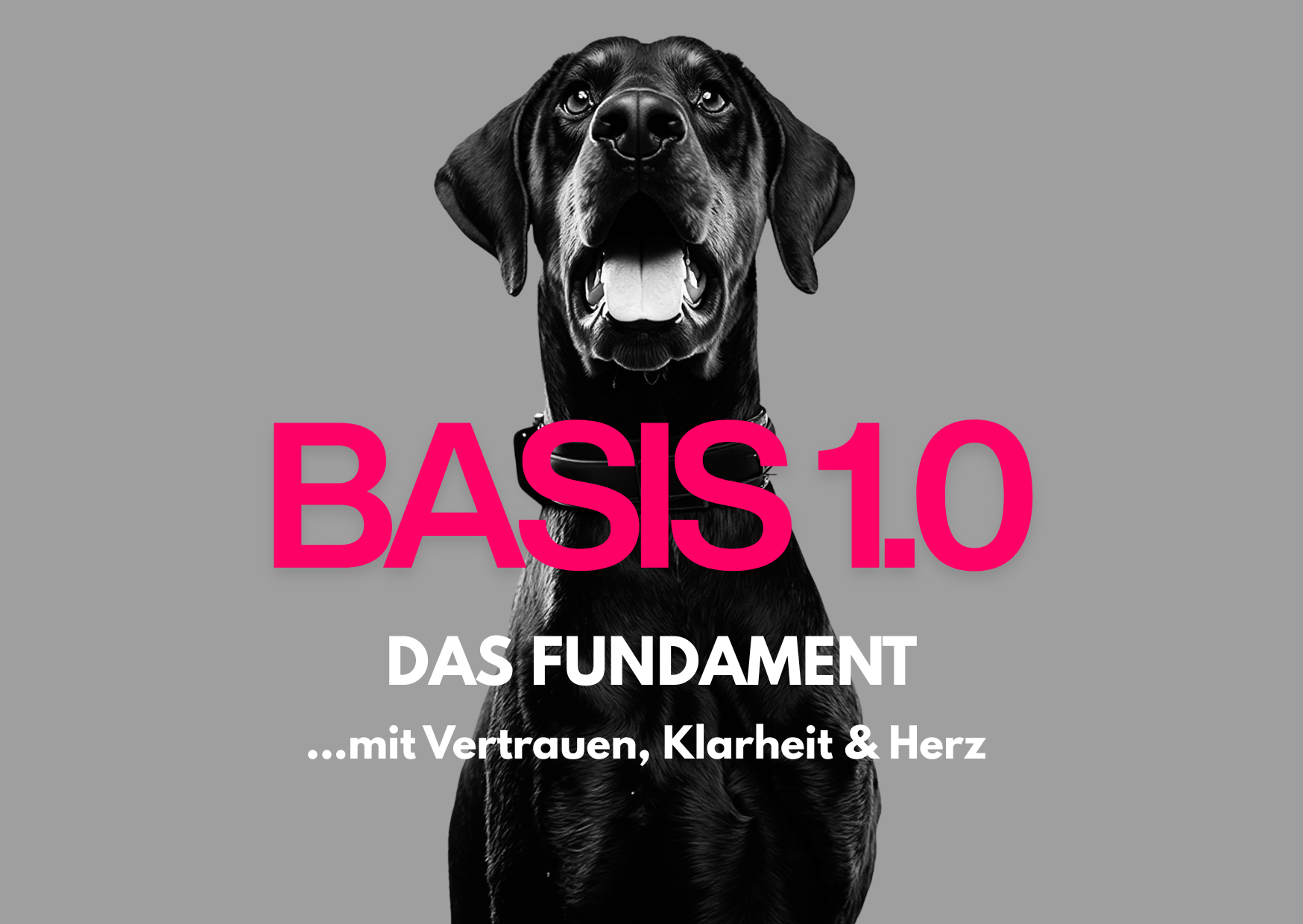 basis_1.0_das_fundament_bild.png