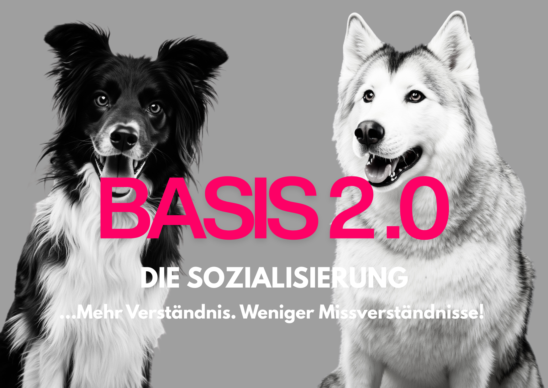 kopie_von_basis_1.0_das_fundament.png